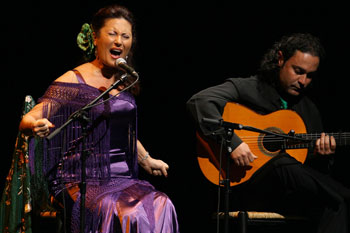 Málaga en Flamenco. Festival de Cantes de Málaga