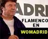 Enrique Morente protagonista del Womadrid.