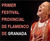 ARRANCA EL PRIMER FESTIVAL PROVINCIAL DE FLAMENCO DE GRANADA