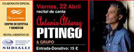 Pitingo - Flamenco Activo - Úbeda