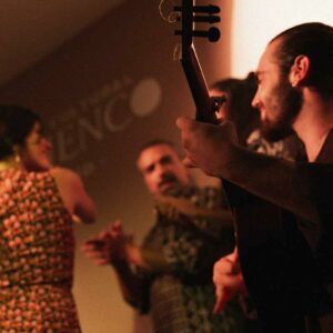 Centro Cultural Flamenco de Madrid