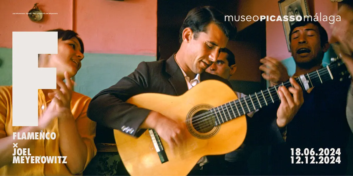 El Museo Picasso de Málaga presenta «Flamenco x Joel Meyerowitz»