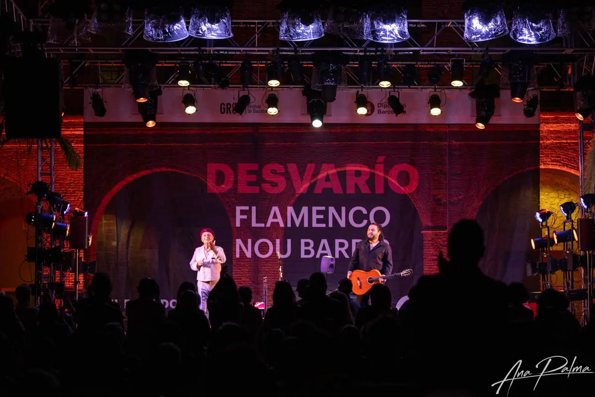 El desvarío de entrar en el flamenco (o intentarlo)