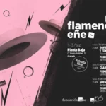 Flamenco Eñe Granada