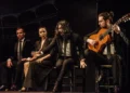 Teatro Flamenco Madrid - Emociones